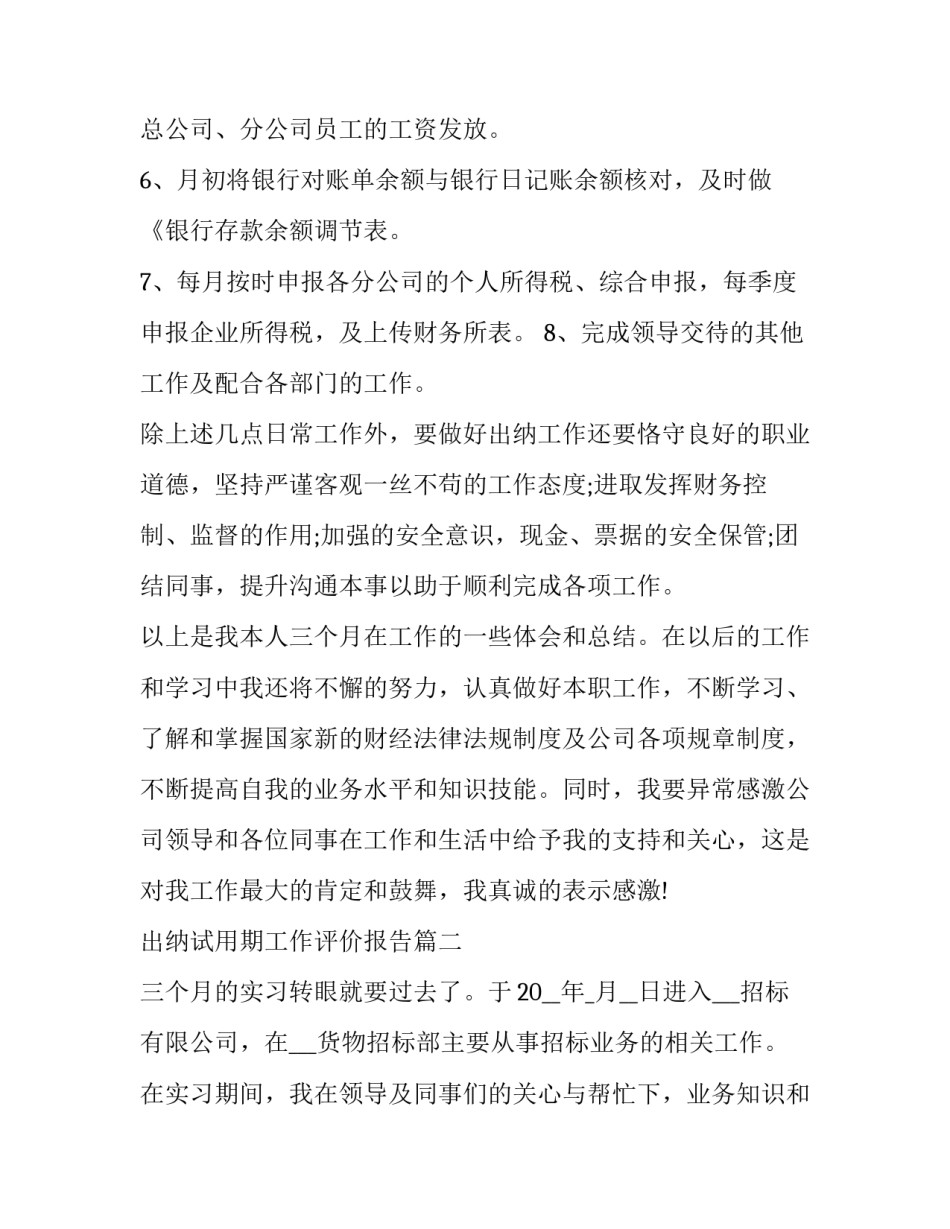 出纳试用期工作评价报告(十二篇)_第2页