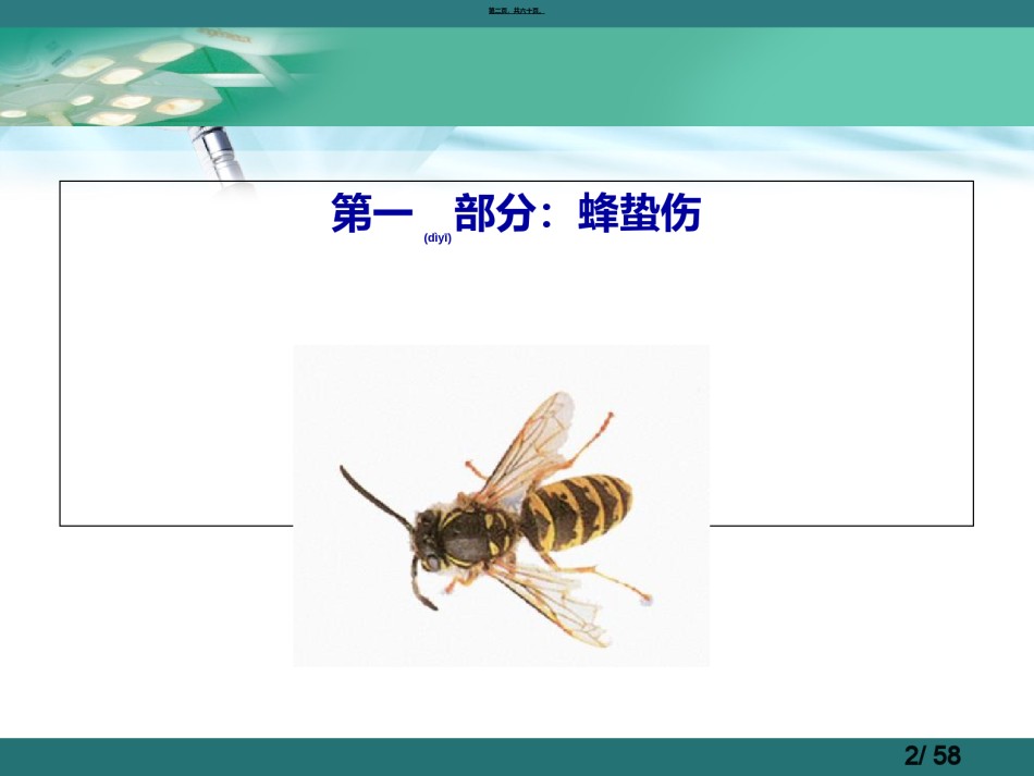 2022年医学专题—常见动物咬伤.ppt_第2页