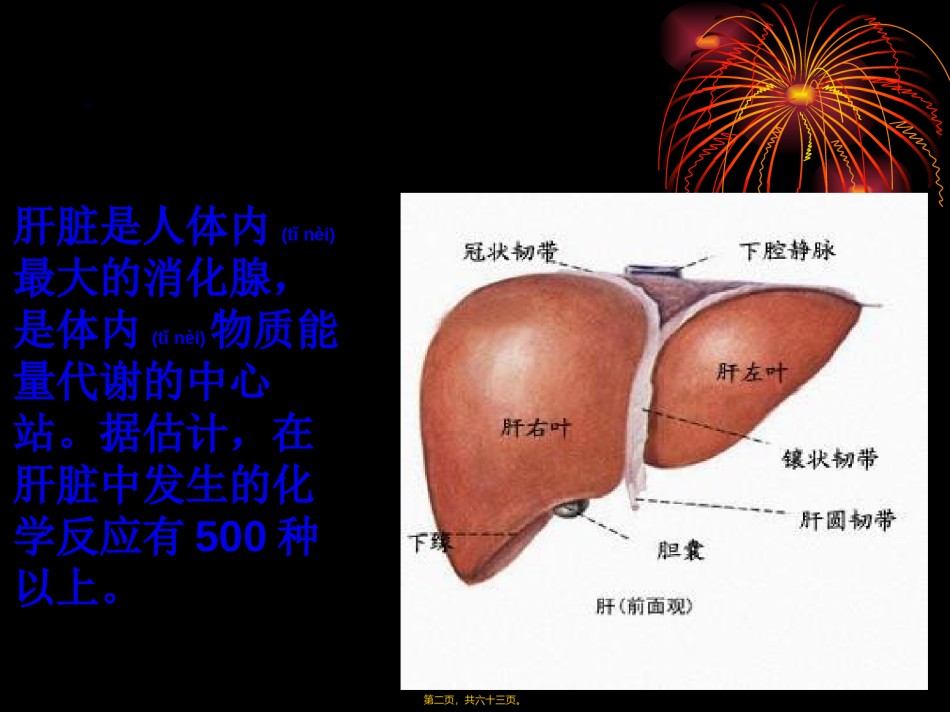 2022年医学专题—常见肝病成因与防治-(1).ppt_第2页