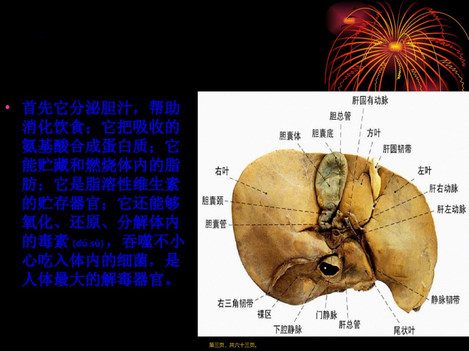 2022年医学专题—常见肝病成因与防治-(1).ppt_第3页