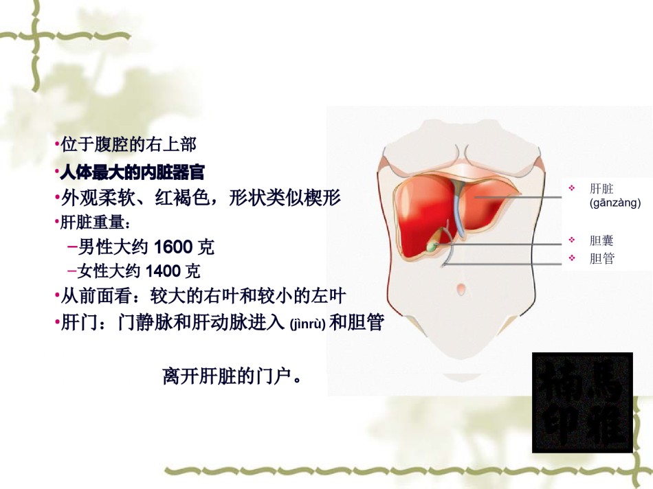 2022年医学专题—常见肝病用药指导.ppt_第3页
