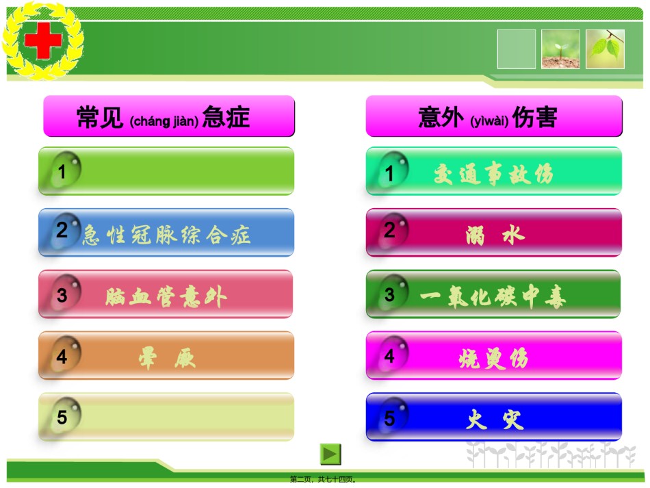 2022年医学专题—常见急症及意外伤害现场救护.ppt_第2页
