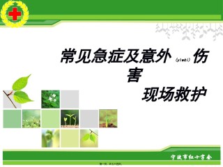2022年医学专题—常见急症及意外伤害现场救护.ppt