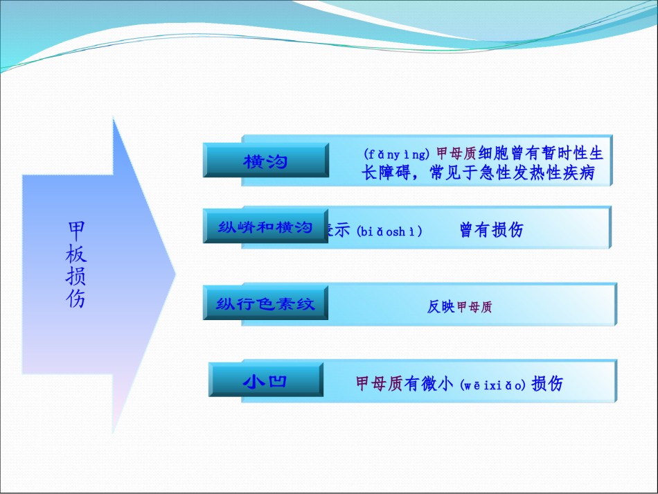 2022年医学专题—常见皮肤病的指甲表现.ppt_第3页