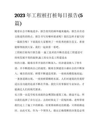 2023年工程桩打桩每日报告(5篇)