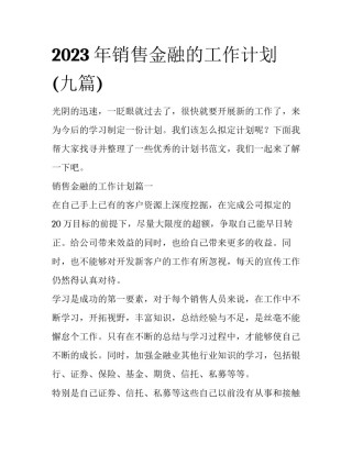2023年销售金融的工作计划(九篇)