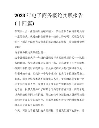 2023年电子商务概论实践报告(十四篇)