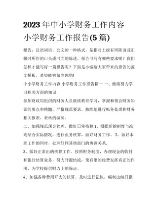 2023年中小学财务工作内容 小学财务工作报告(5篇)