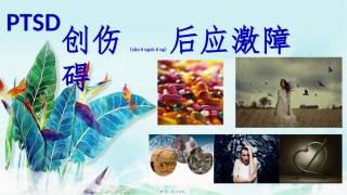 2022年医学专题—创伤后应激障碍ppt.pptx