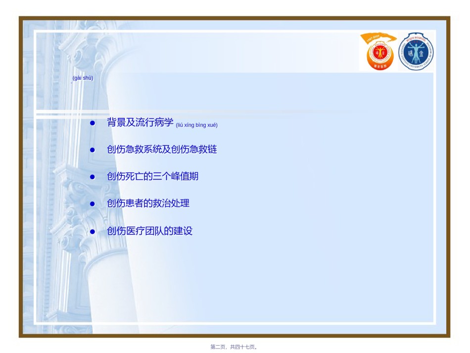 2022年医学专题—创伤患者的急诊急救.ppt_第2页