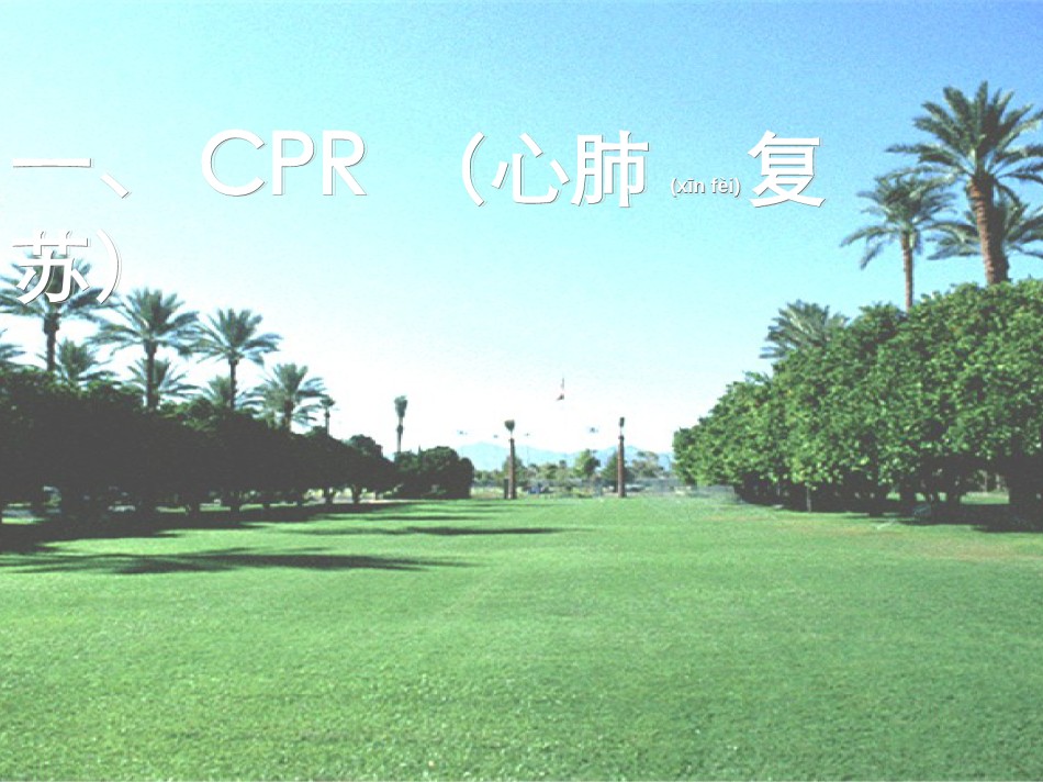 2022年医学专题—创伤急救知识.ppt_第3页