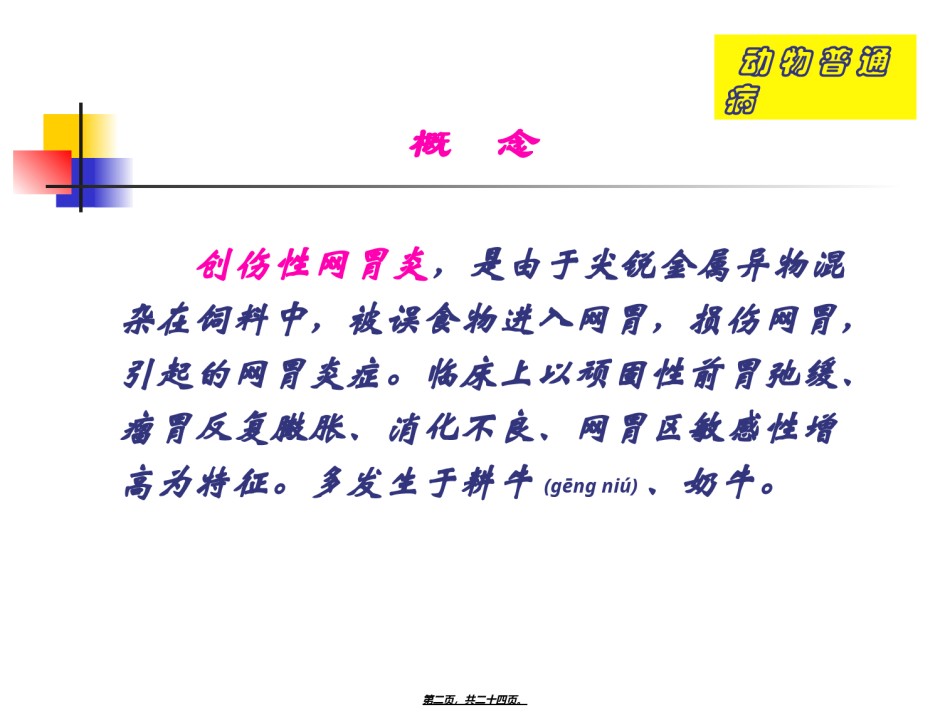 2022年医学专题—创伤性网胃炎.ppt_第2页