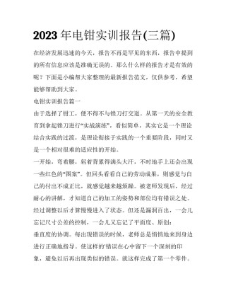 2023年电钳实训报告(三篇)