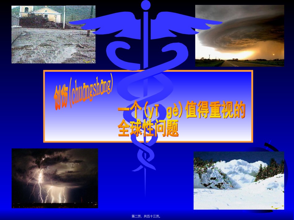 2022年医学专题—创伤与液体复苏.ppt_第2页
