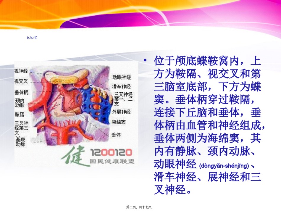 2022年医学专题—垂体瘤ppt1.ppt_第2页