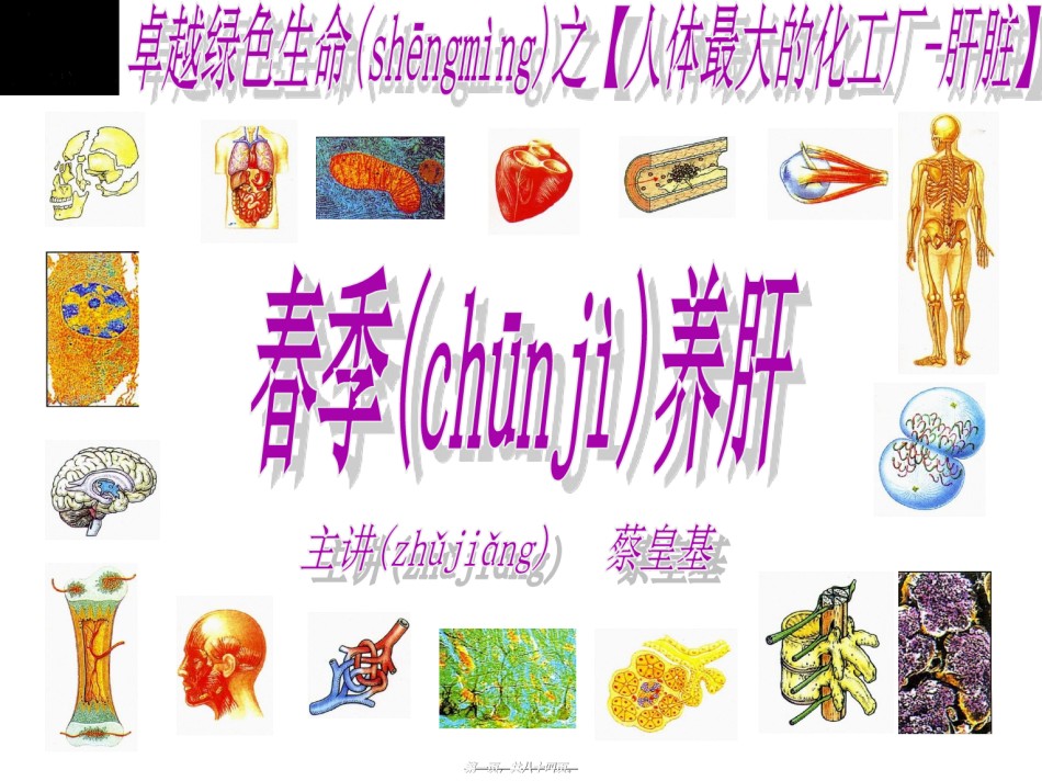 2022年医学专题—春季养肝蔡皇基ppt---石狮.ppt_第1页