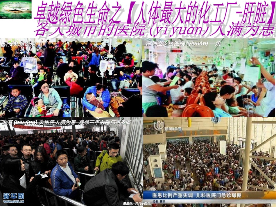 2022年医学专题—春季养肝蔡皇基ppt---石狮.ppt_第3页