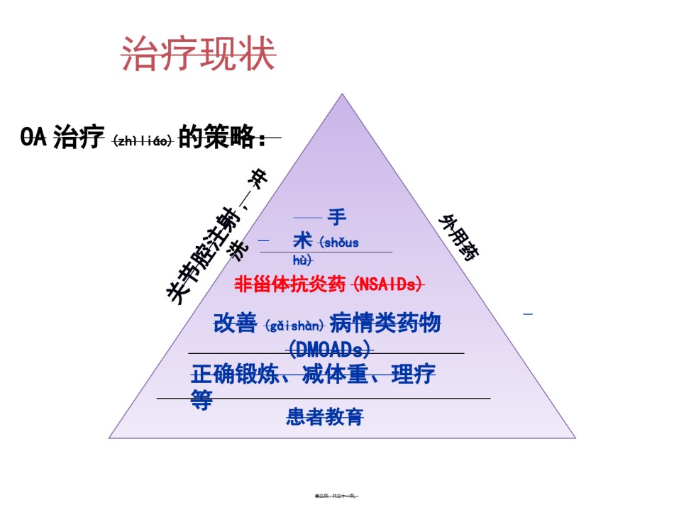 2022年医学专题—从骨关节炎指南演变看NSAIDs在骨关节中的意义讲义.ppt_第3页