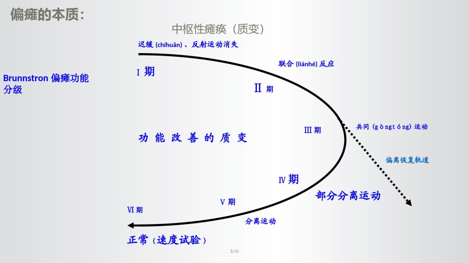 2022年医学专题—从脑干水平反射看偏瘫运动功能障碍.ppt_第3页