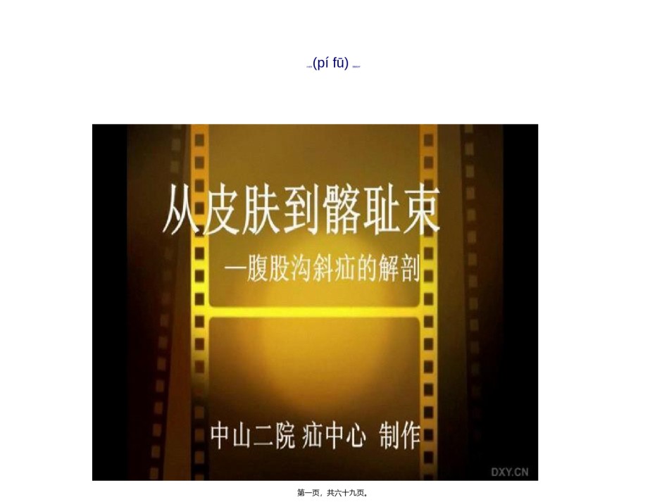 2022年医学专题—从皮肤到骼耻束.ppt_第1页