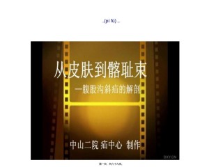 2022年医学专题—从皮肤到骼耻束.ppt