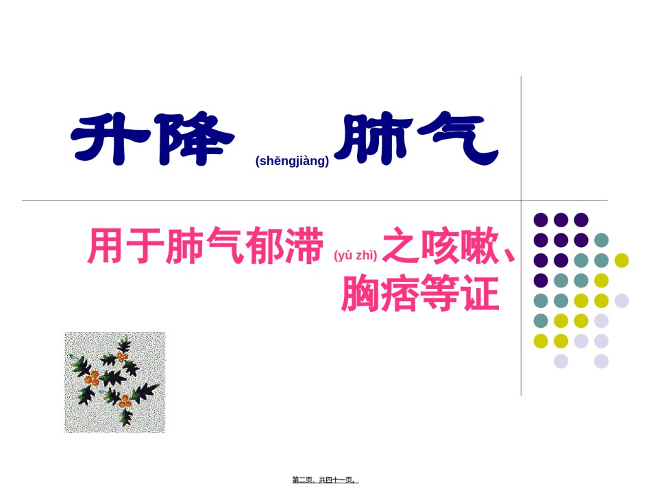 2022年医学专题—从升降浮沉谈方药配伍PPT.ppt_第2页