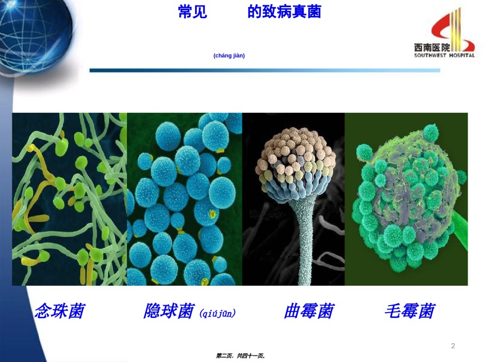 2022年医学专题—从实践看呼吸科肺部真菌感染(第三军医大学西南医院呼吸科-熊玮).ppt_第2页