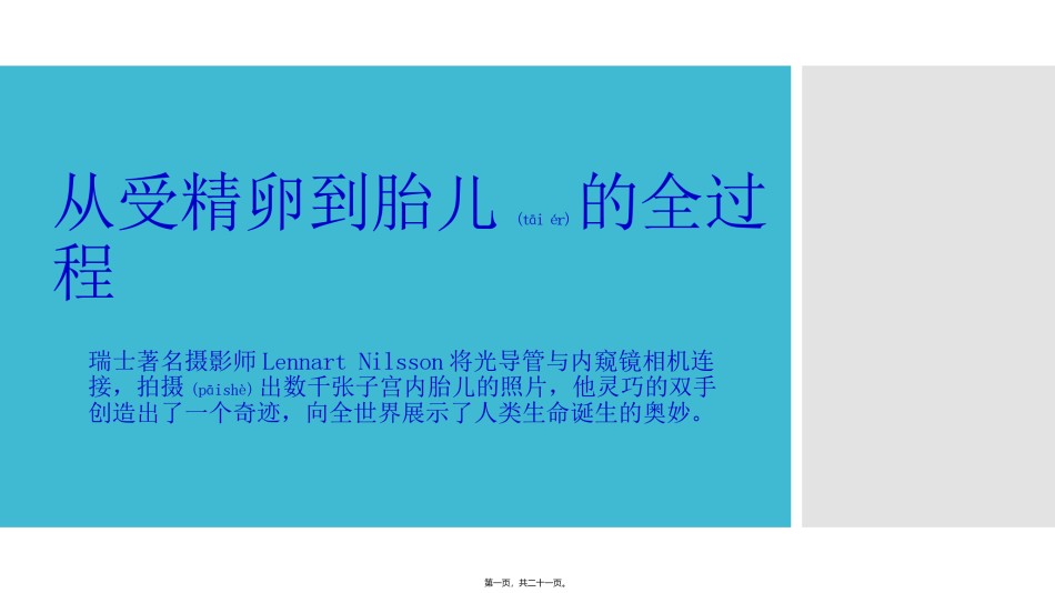2022年医学专题—从受精卵到胎儿的全过程.pptx_第1页