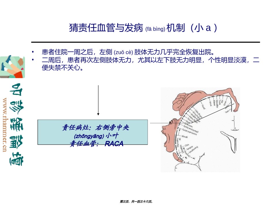 2022年医学专题—从影像学梗死部位推测责任供血血管.ppt_第3页