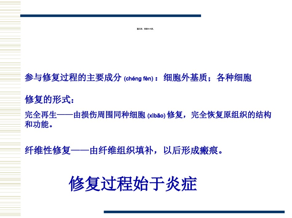 2022年医学专题—促成纤维细胞.ppt_第3页
