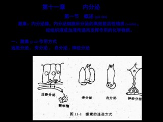 2022年医学专题—促甲状腺激素释放激素.ppt