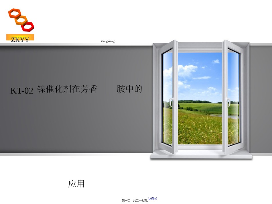 2022年医学专题—催化剂会议-甘肃中科药源.ppt_第1页
