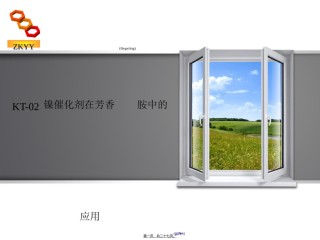 2022年医学专题—催化剂会议-甘肃中科药源.ppt