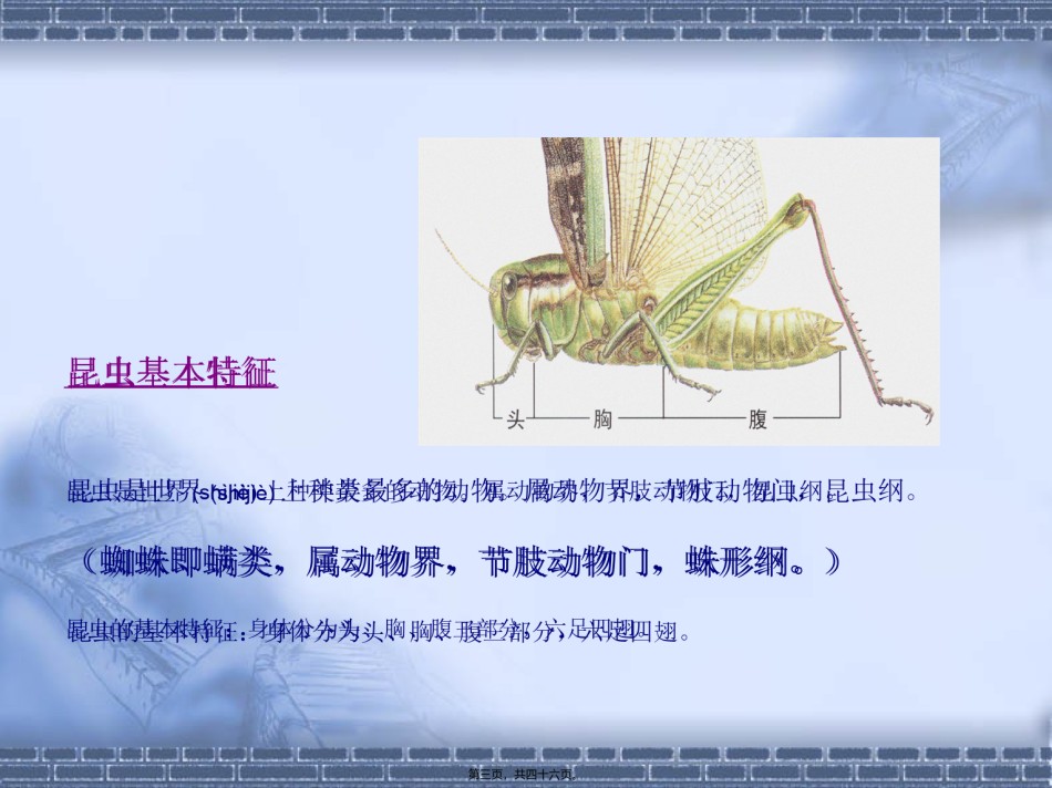 2022年医学专题—病虫害基础知识.ppt_第3页