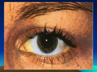 2022年医学专题—病因病机讲稿.ppt