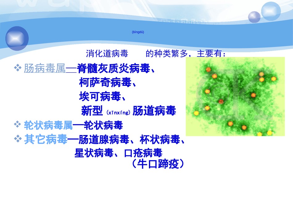 2022年医学专题—病原-第22章消化道.ppt_第2页