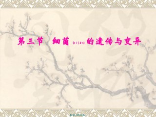 2022年医学专题—病原8.细菌的遗传与变异.ppt