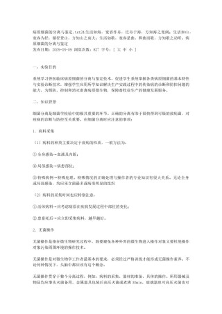 2022年医学专题—病原细菌的分离与鉴定.docx