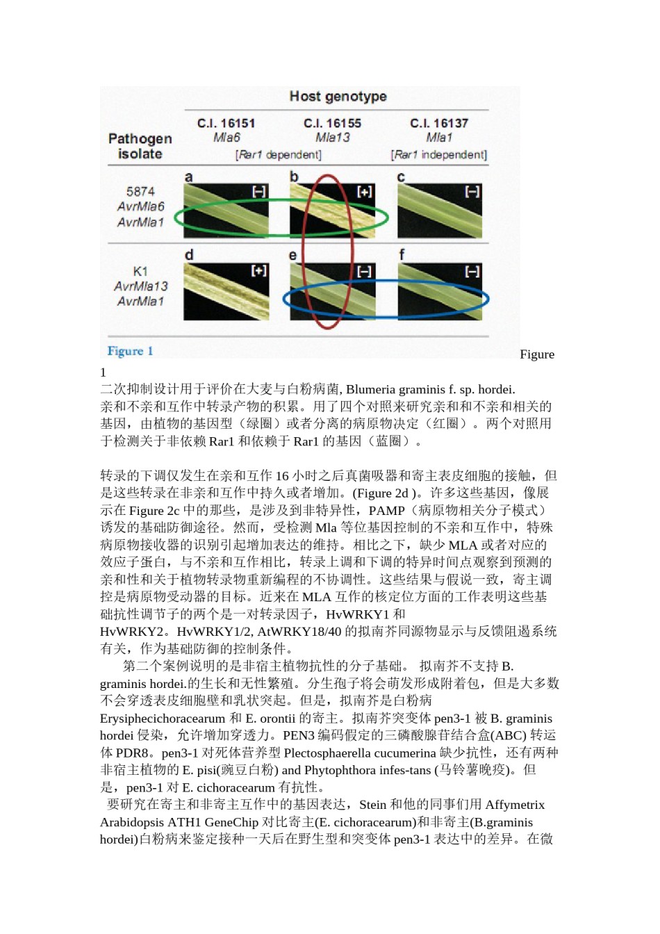 2022年医学专题—病原物.docx_第3页