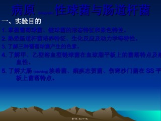 2022年医学专题—病原性球菌及杆菌.ppt
