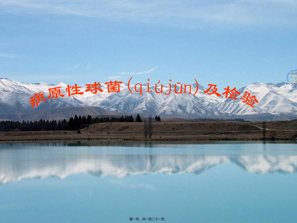 2022年医学专题—病原性球菌及检验.ppt_第1页