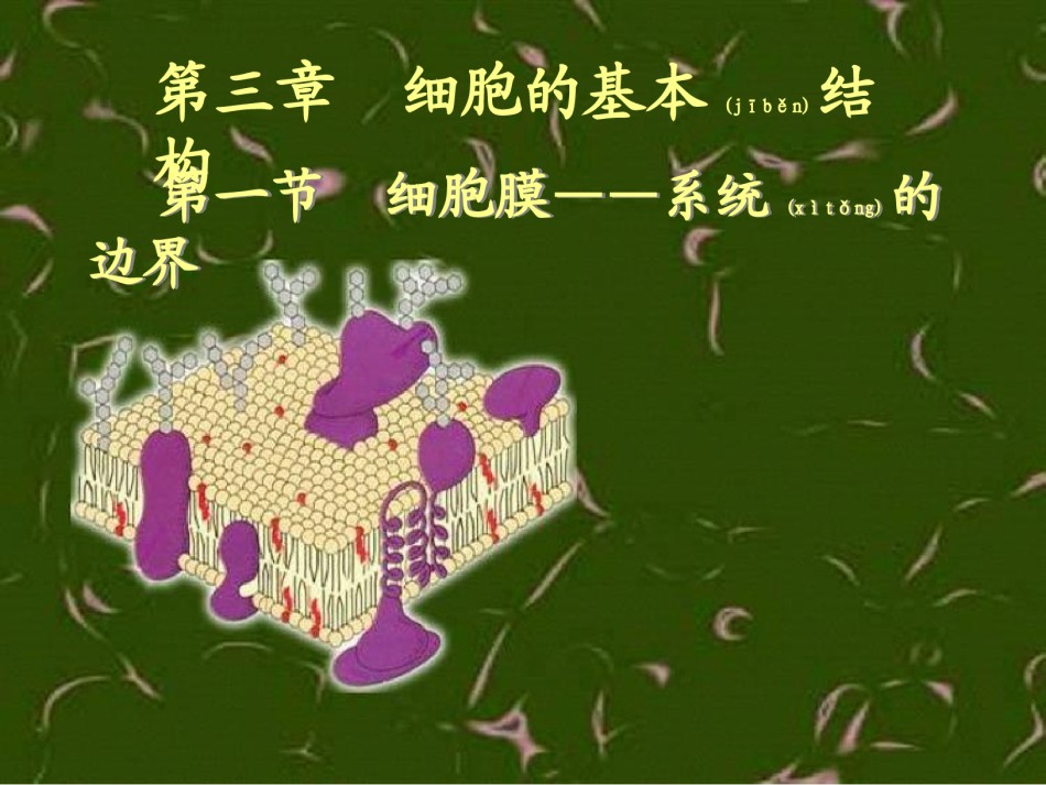 2022年医学专题—哺乳动物成熟的红细胞吸水涨破思考.ppt_第1页