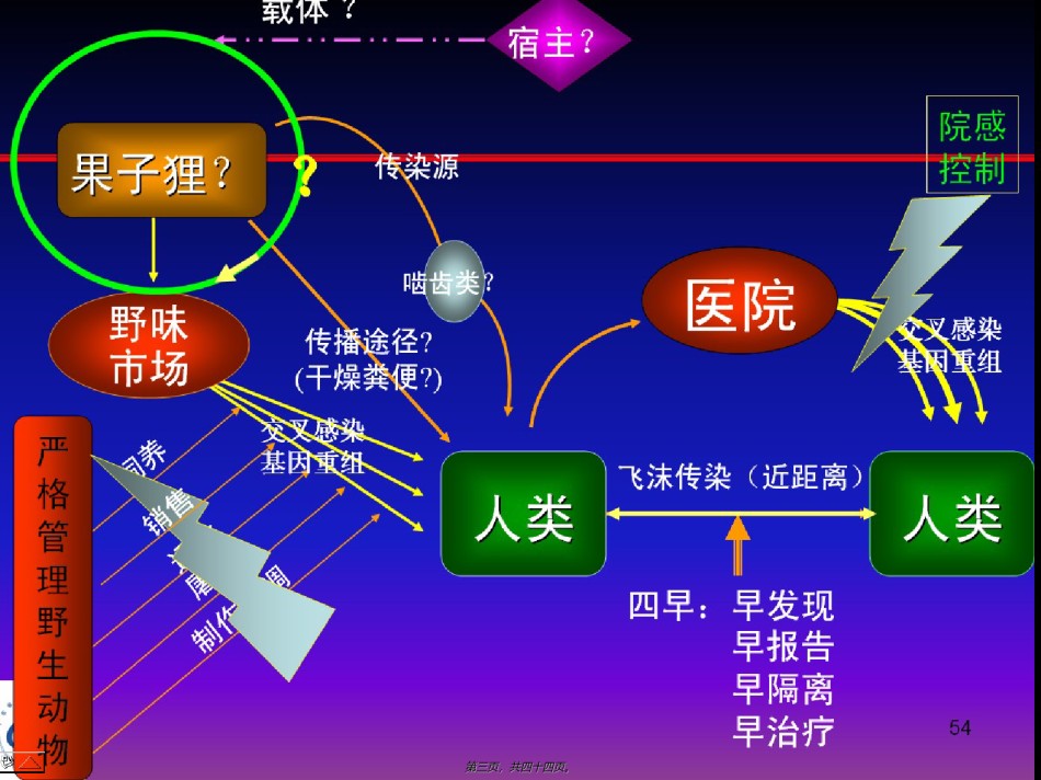 2022年医学专题—不明原因性肺炎幻灯片.ppt_第3页