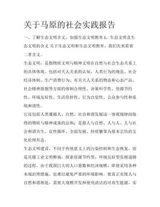关于马原的社会实践报告