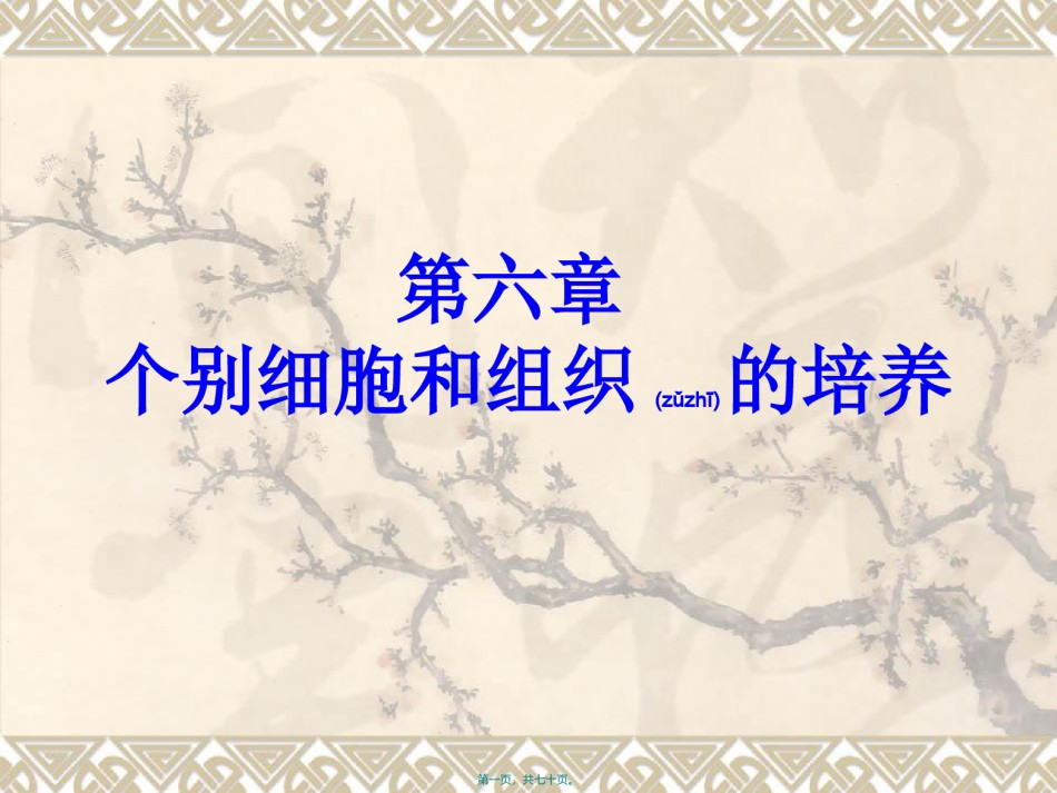 2022年医学专题—不同类型细胞的培养特点.ppt_第1页