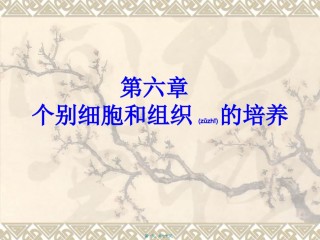2022年医学专题—不同类型细胞的培养特点.ppt