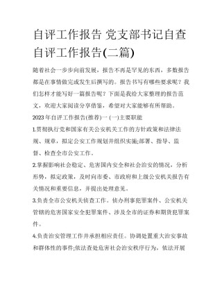 自评工作报告 党支部书记自查自评工作报告(二篇)
