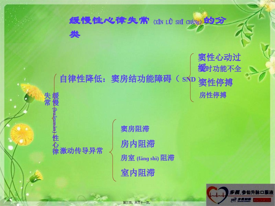 2022年医学专题—参仙升脉口服液(黄宜斌).ppt_第3页