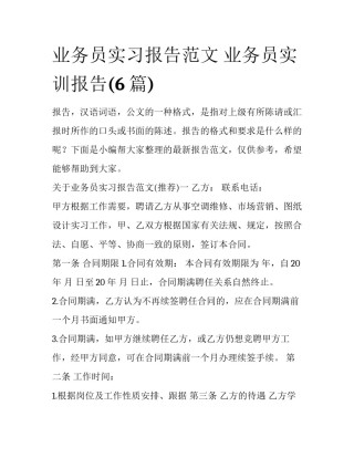 业务员实习报告范文 业务员实训报告(6篇)