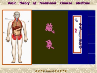 2022年医学专题—藏象学说-五脏肺概述.ppt